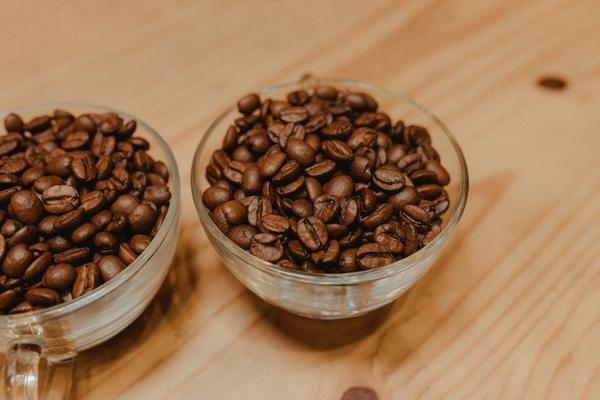 arabica vs robusta coffee